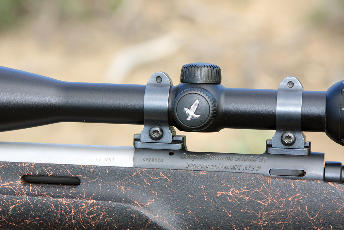 The Swarovski riflescope seems almost too large for the Cooper 17 VHA, but ground squirrels make small targets and high magnification is useful.